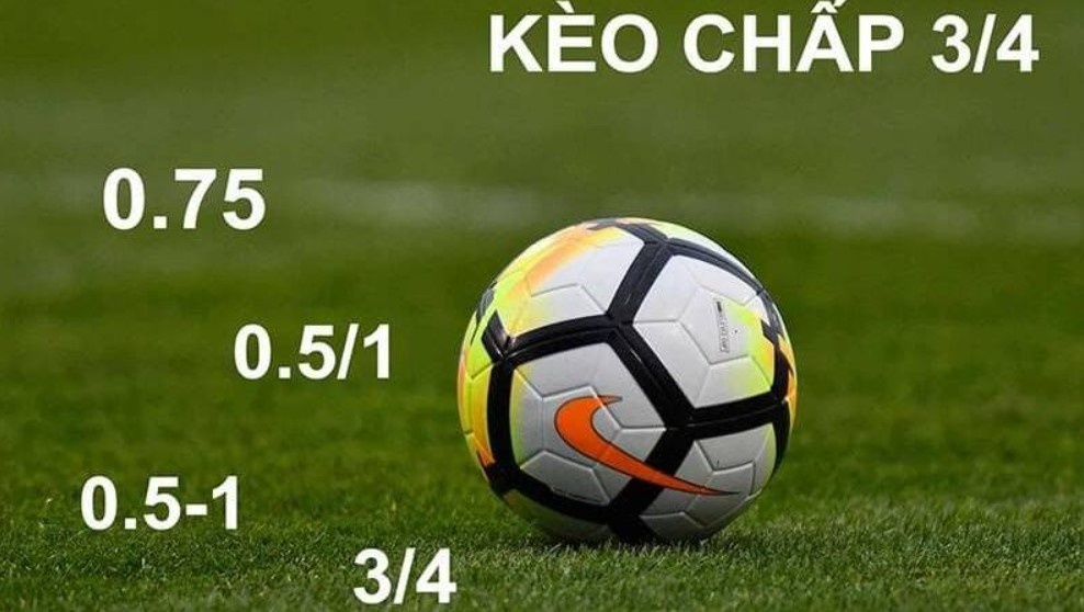 Kèo Châu Á 77Win Hấp Dẫn Với Tỷ Lệ Nhận Thưởng Đặc Sắc Chơi cược kèo châu Á tỷ lệ chấp 0.5